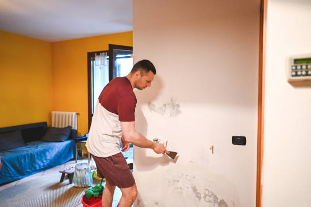 Certified Mold Removal in Seal Beach, CA